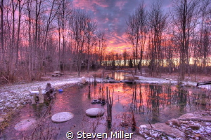 Dawn pool by Steven Miller 